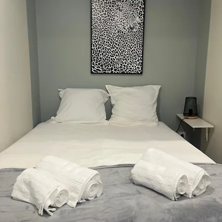 Calme Centre Apartment Riom